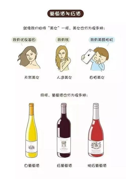 漫画葡萄酒,品味与艺术的交融